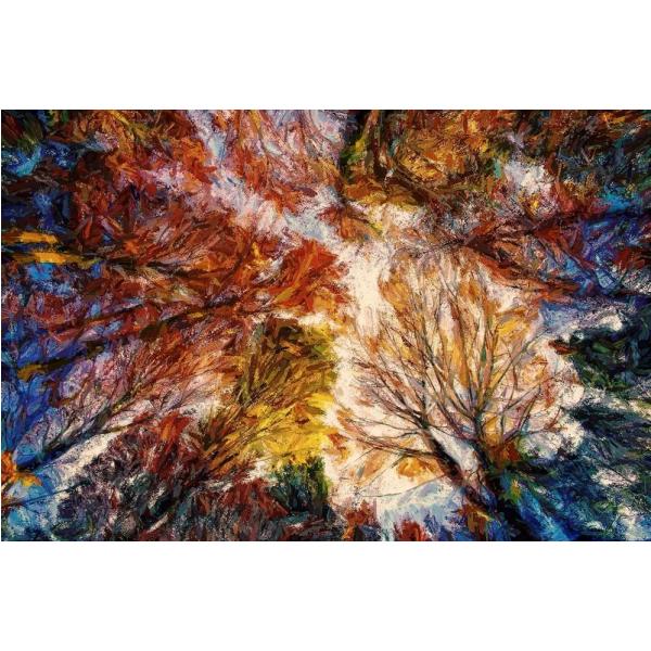 Gravura para Quadros Abstrato rvores Coloridas - Afi4940