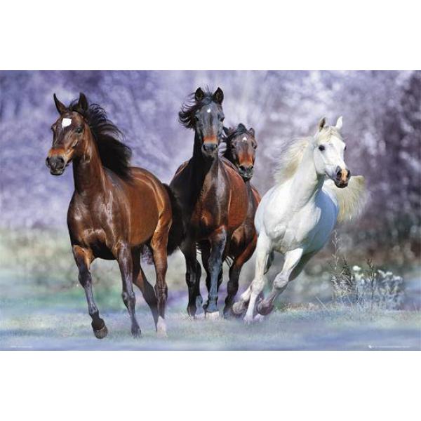 Poster para Quadros Grupo de Cavalos 90x60 Cm
