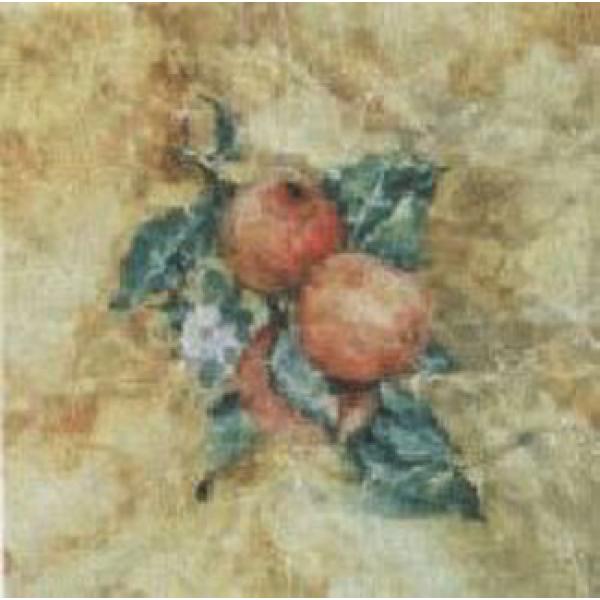 Gravura para Quadros Decorativos Fruta Romã - Ncn3326-1 - 25x25 Cm