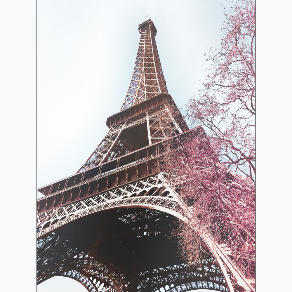 Gravura para Quadros Monumento Torre Eiffel Flores Rosa - Afi11503