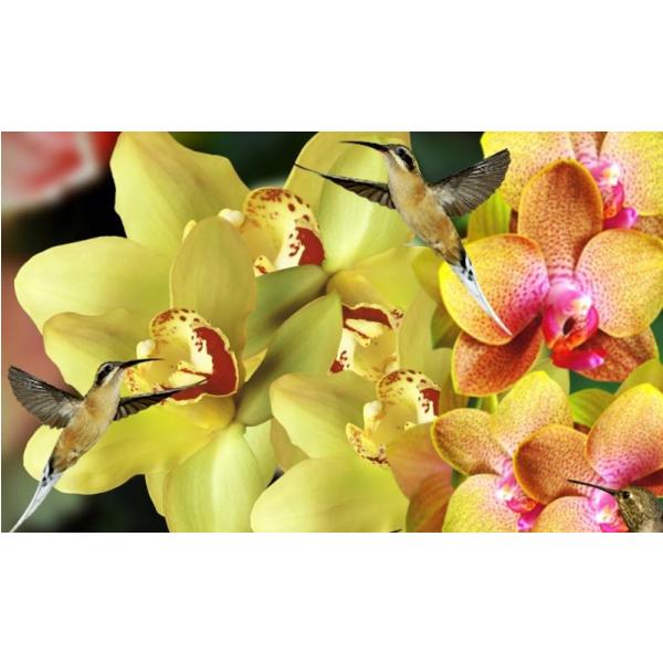 Impresso em Tela para Quadros Natureza Flores Amarela - Afic2158 - 65x40 Cm