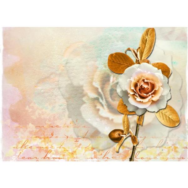 Impresso em Tela para Quadros Carto Floral Rosa - Afic2144 - 70x50 Cm