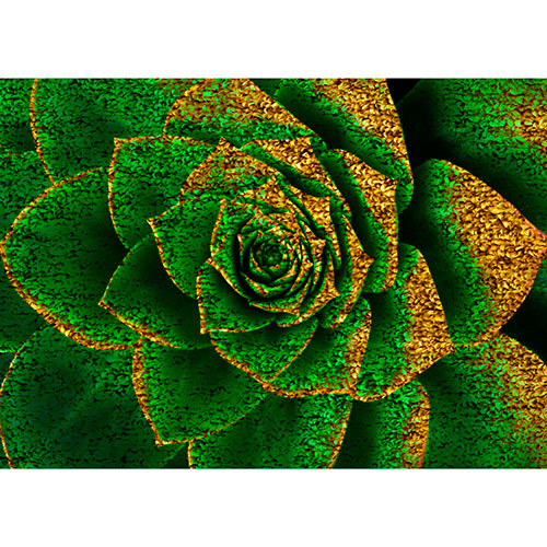 Tela para Quadros Decorativo Folhas de Suculenta Verde e Dourada - Afic18901
