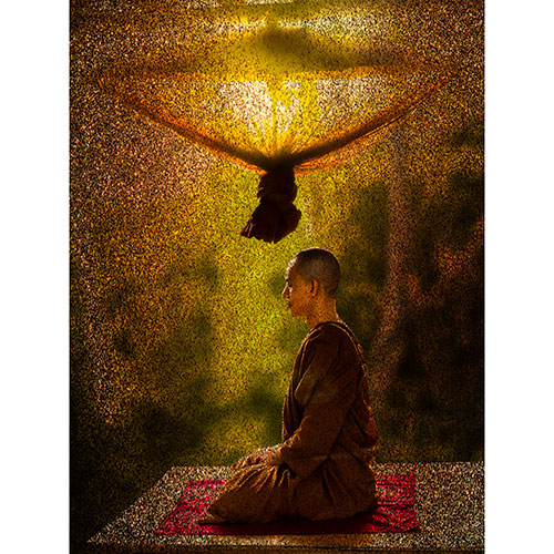 Tela para Quadros Insigth Natureza Monge Meditação - Afic17639
