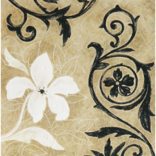 Gravura para Quadros Floral Vintage Retr - Ncn4758 - 50x50 Cm