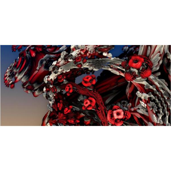 Gravura para Quadros Abstrato Floral Vermelho - Afi232 - 66x31 cm