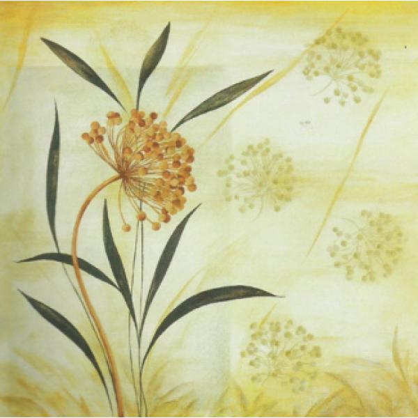 Gravura para Quadros Decorativo Floral Antigo - Ncn4782 - 50x50 Cm