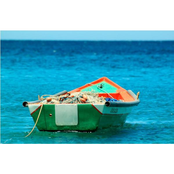 Impressão em Tela para Quadros Barco Pesca Ao Mar - Afic1042