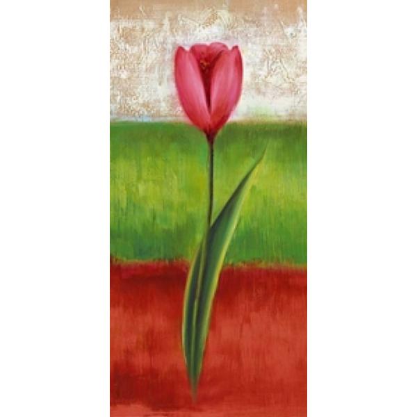 Gravura para Quadros Tulipa de Fundo Colorido - Dn254 - 30x70 Cm