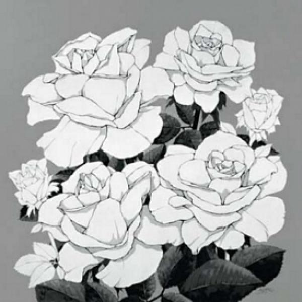 Gravura para Quadros Painel Floral Rosas - Vl148 - 49x49 Cm