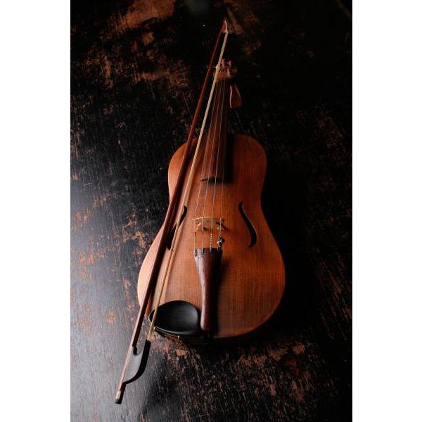Gravura para Quadro Instrumento Musical Violino - Afi2703