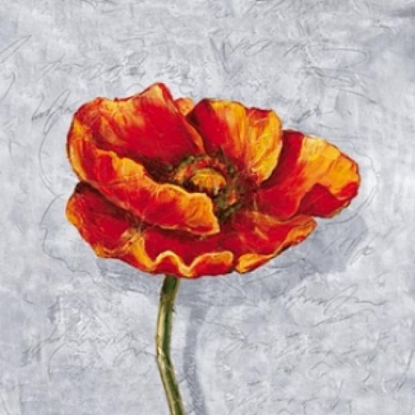 Gravura para Quadros Floral Abstrata Vermelha - Wl3750 - 33x33 Cm