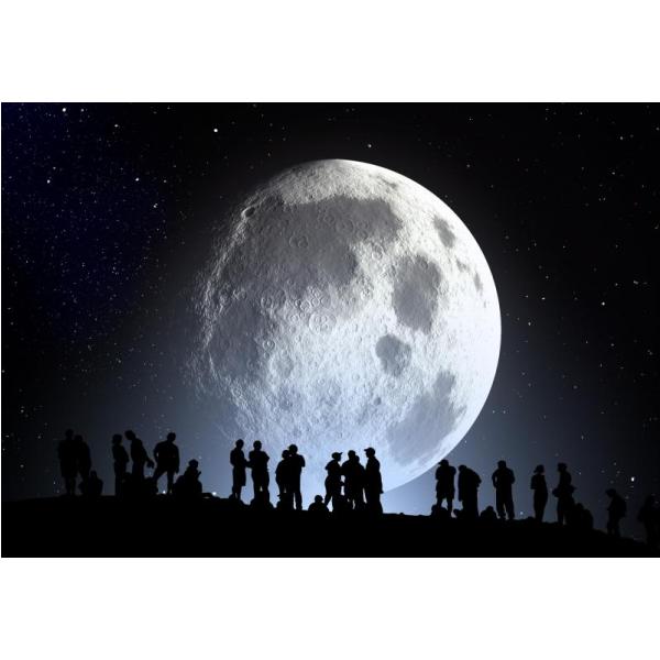 Gravura para Quadros Paisagem Noite de Lua - Afi3278 - 100x70 Cm