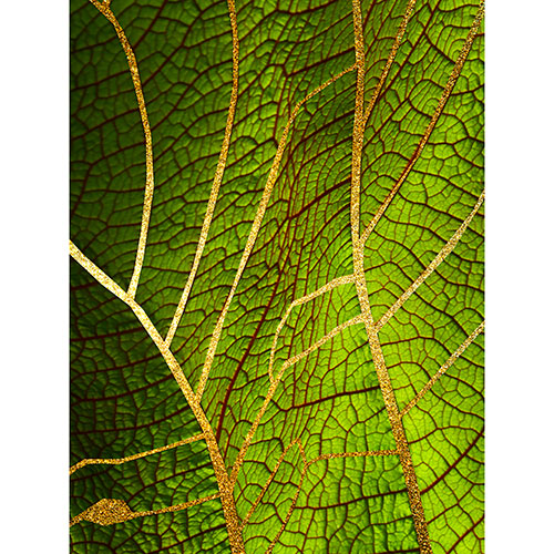 Tela para Quadros Decorativo Folha Verde Veias Douradas I - Afic18769