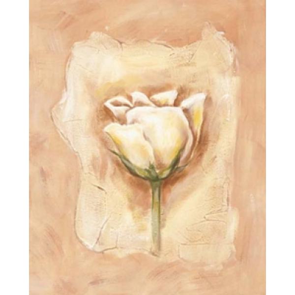 Gravura para Quadros Boto Floral Branco - Gr7262 - 40x50 Cm