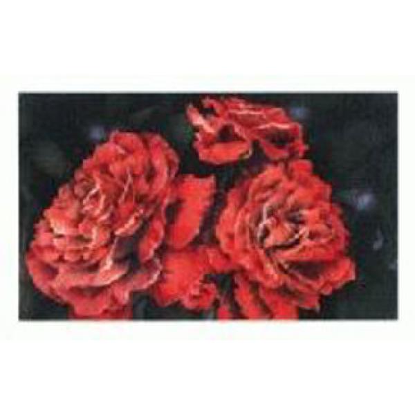 Gravura para Quadros Floral Flor Vermelha - Ncn1080 - 100x70 Cm