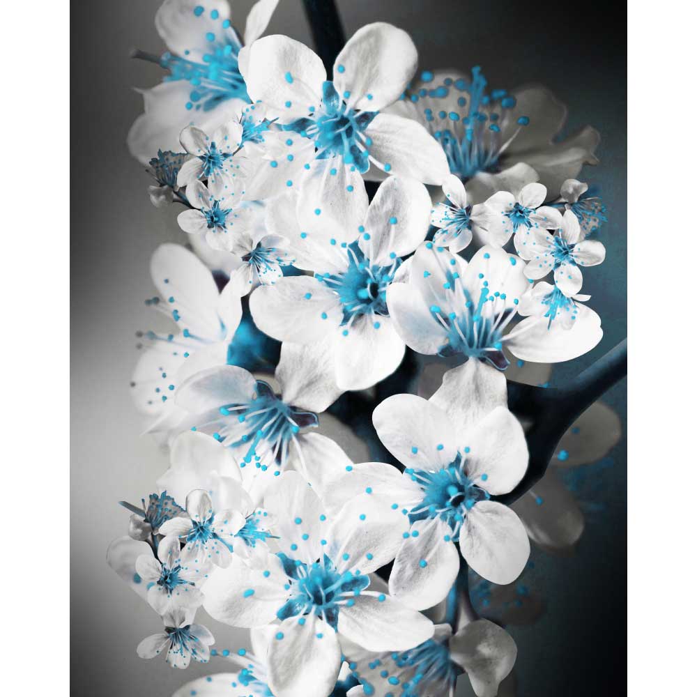 Gravura para Quadros Decorativos Flores Brancas - Afi10114