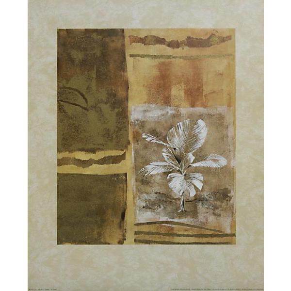 Gravura para Quadros Abstrato Floral - Me105/3 - 40x50 Cm