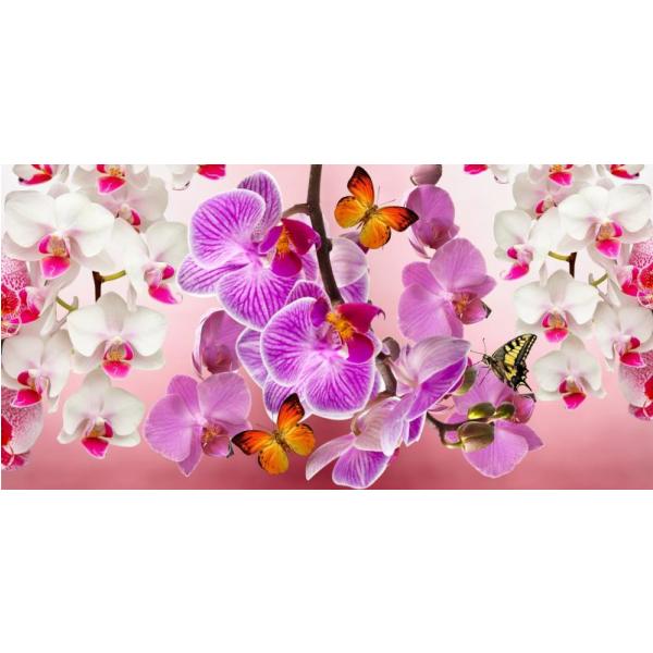 Impresso em Tela para Quadros Flores de Orqudea Viva - Afic2156 - 110x55 Cm