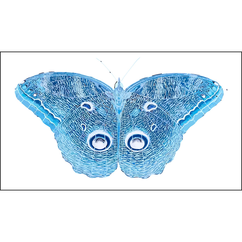 Gravura para Quadros Fotografia Mariposa Azul - Afi15849