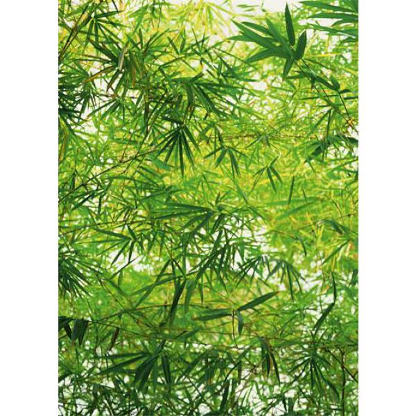Gravura para Quadros Folhagens Verdes Bamboo - 183x254 cm