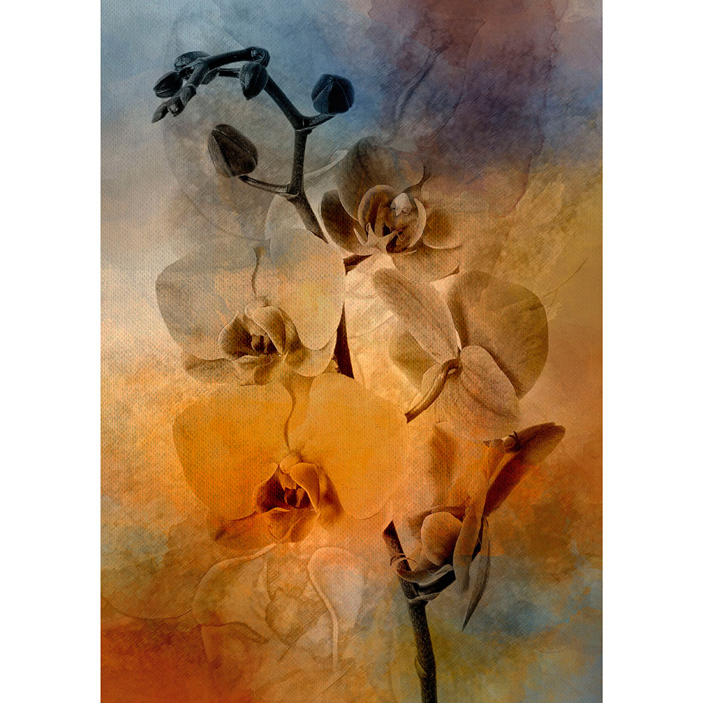 Tela para Quadros Flores de Orqudea Decorativa - Afic13036
