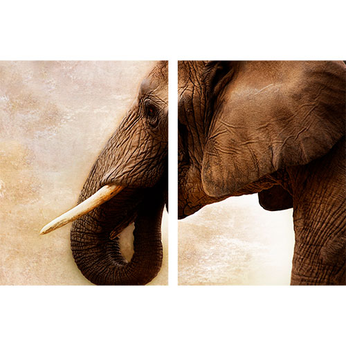 Tela para Quadros Recortada Elefante Fundo Abstrato - Afic18035a - 185x120 Cm