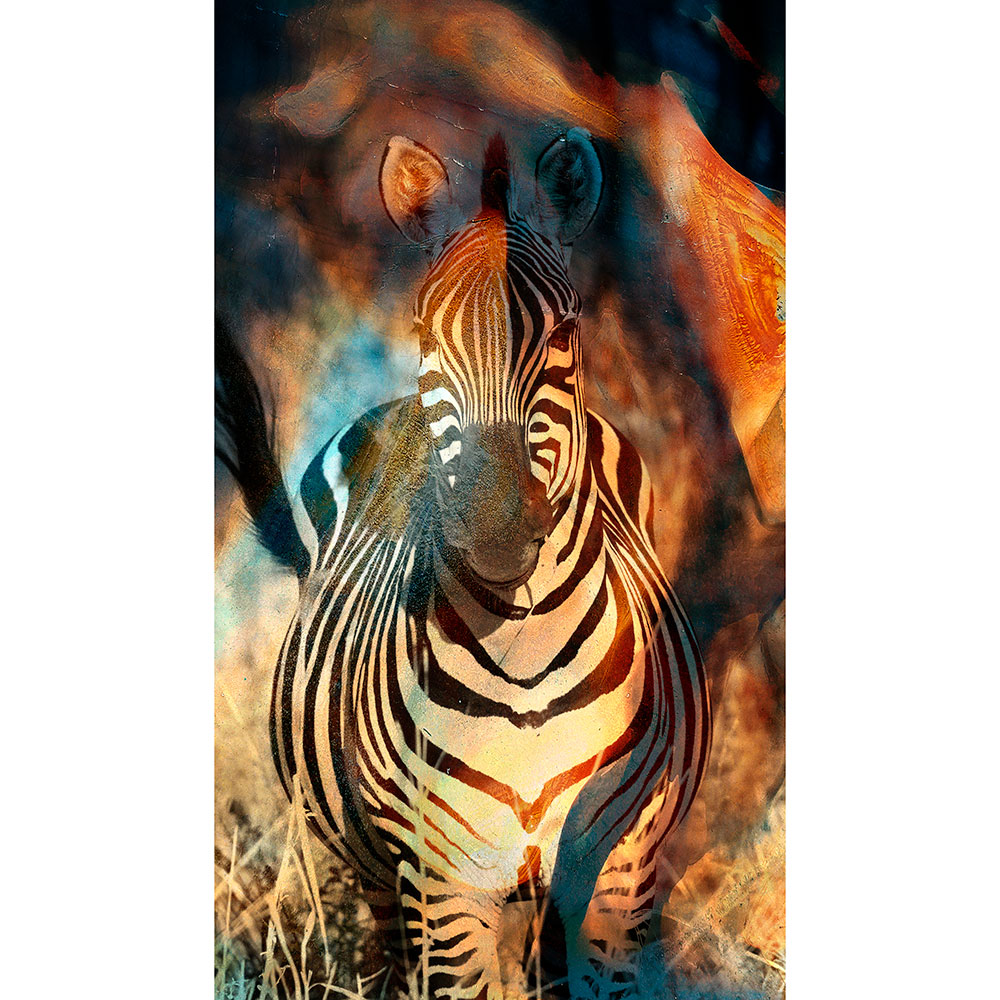 Tela para Quadros Zebra Fundo Abstrato - Afic12942