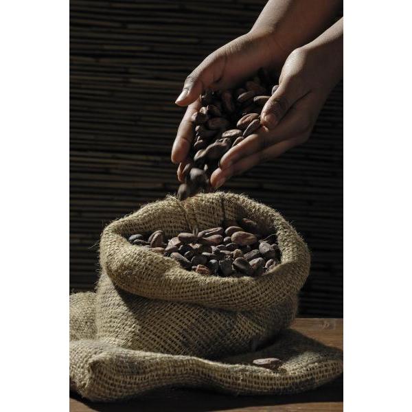 Impressão em Tela para Quadros Grãos de Café em Saco - Afic2620