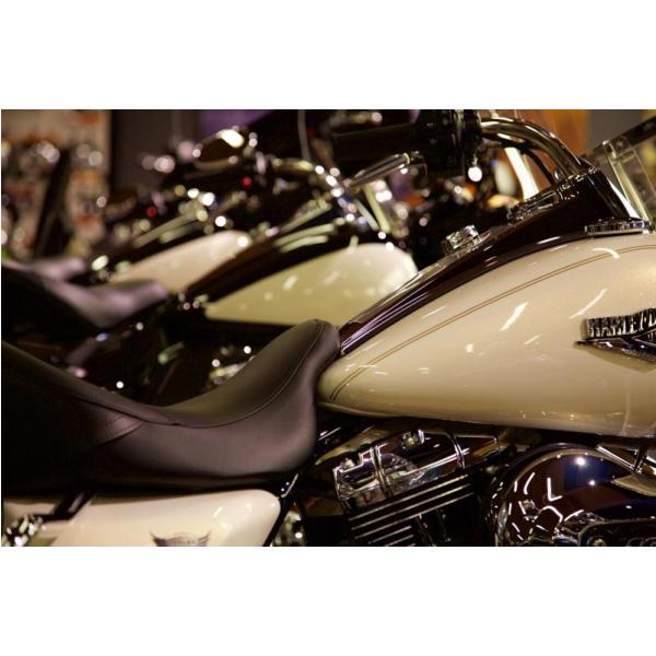 Impressão em Tela para Quadros Motos Harley-davidson Estacionadas - Afic4078