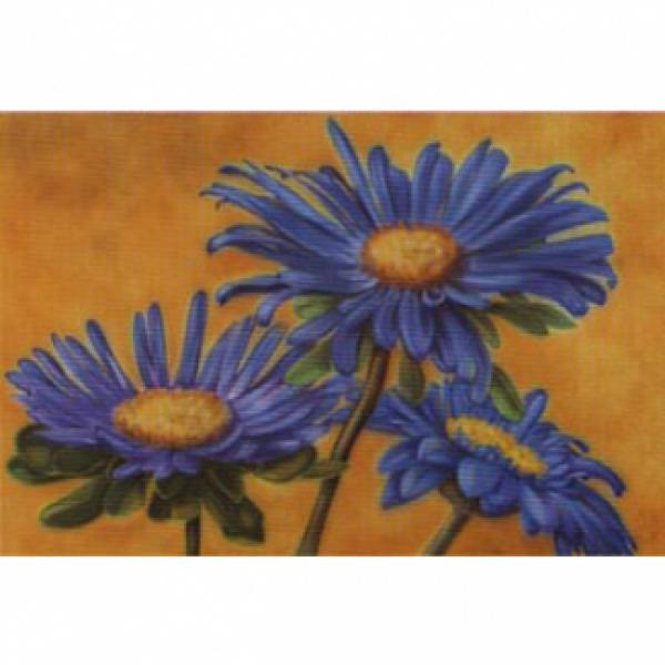 Gravura para Quadros Decorativos Margarida Azul - Ncn3741 - 70x50 Cm