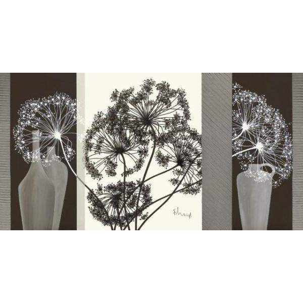 Gravura para Quadros Floral Flores de Artficio - 002816 - 100x50 Cm