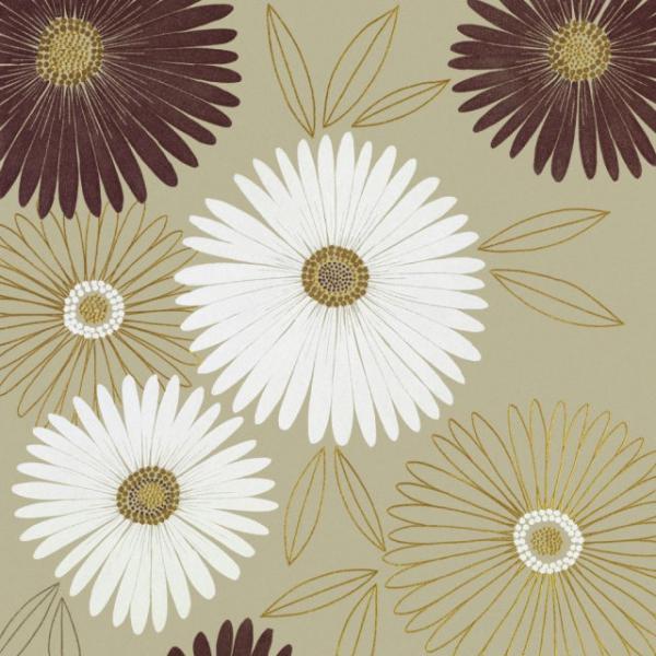 Gravura para Quadros Decorativos Floral Margaridas Branca Marrom I - 063138 - 50x50 Cm