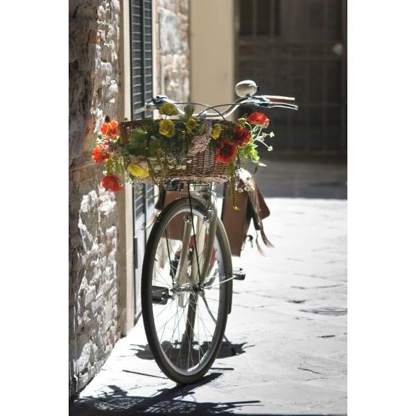 Gravura para Quadros Bicicleta com Belo Cesto de Flores Coloridas - Afi1314